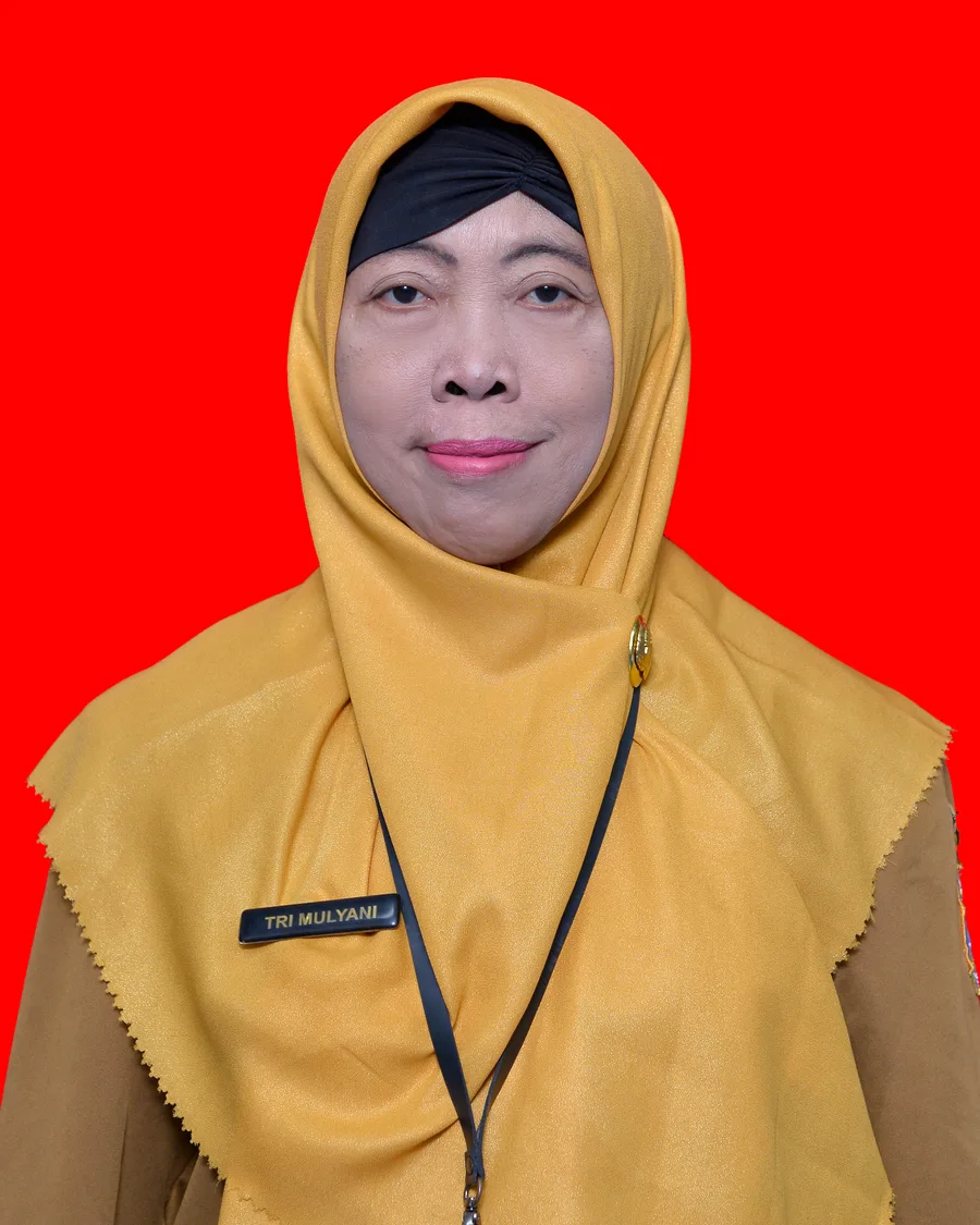 Foto Tri Mulyani